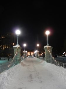 The shortest suspension bridge in the world in the Boston Common/Garden